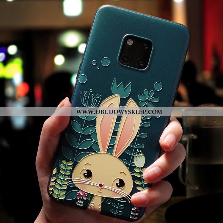 Futerał Huawei Mate 20 Pro Kreskówka Telefon Komórkowy Ochraniacz, Pokrowce Huawei Mate 20 Pro Piękn