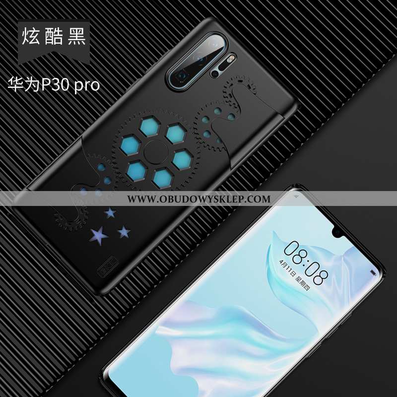 Obudowa Huawei P30 Pro Silikonowe Telefon Komórkowy Anti-fall, Etui Huawei P30 Pro Kreatywne Wiatr C