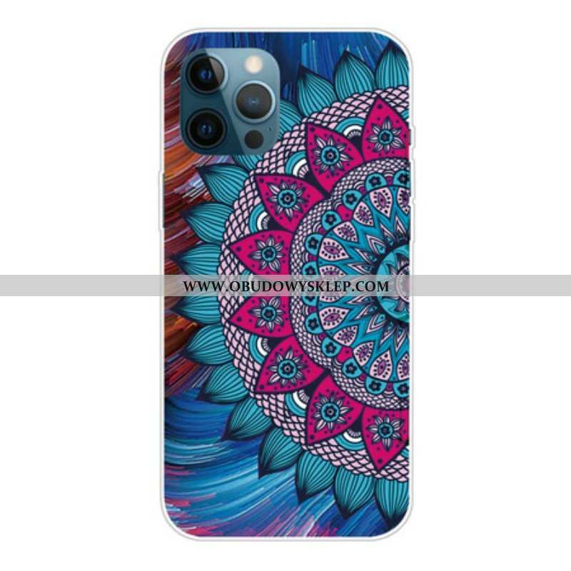 Etui do iPhone 13 Pro Max Kolorowa Mandala