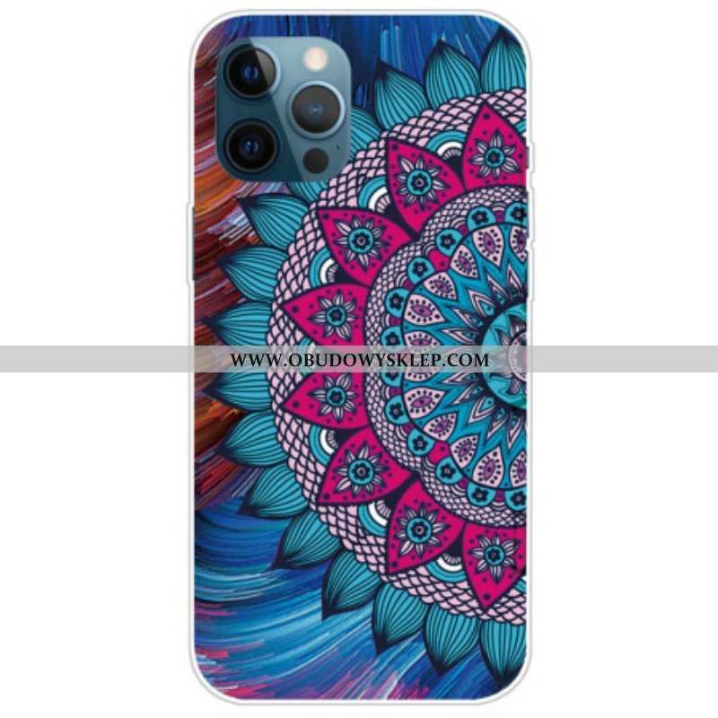 Etui do iPhone 14 Pro Kolorowa Mandala